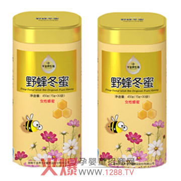 千金養(yǎng)生坊野蜂冬蜜 孕媽媽美容養(yǎng)生佳品