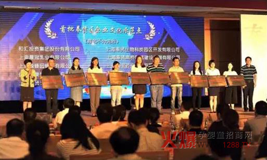 上海晨冠榮獲奉賢區(qū)首屆“企業(yè)文化建設(shè)示范點(diǎn)”稱(chēng)號(hào)