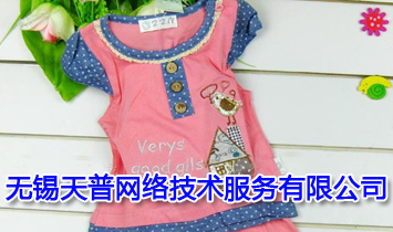 無錫天普網(wǎng)絡(luò)技術(shù)服務(wù)有限公司