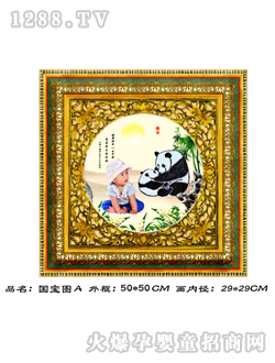華瑞胎毛畫(huà)國(guó)寶圖A